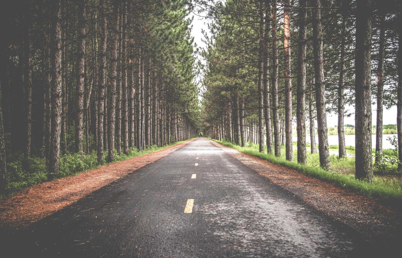 Vignette d'intérieur confortable