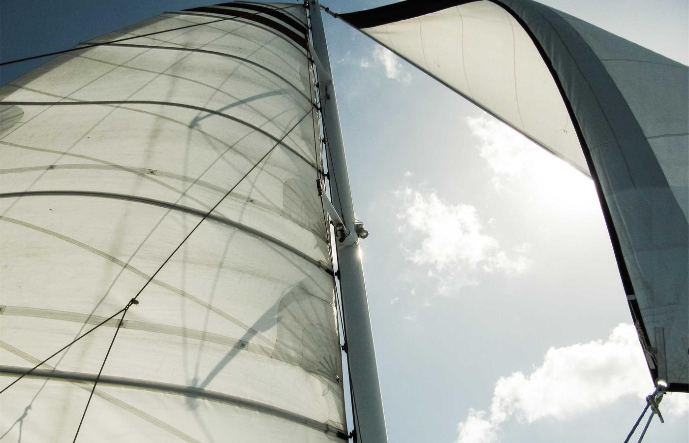 Portrait de Jean Dupont