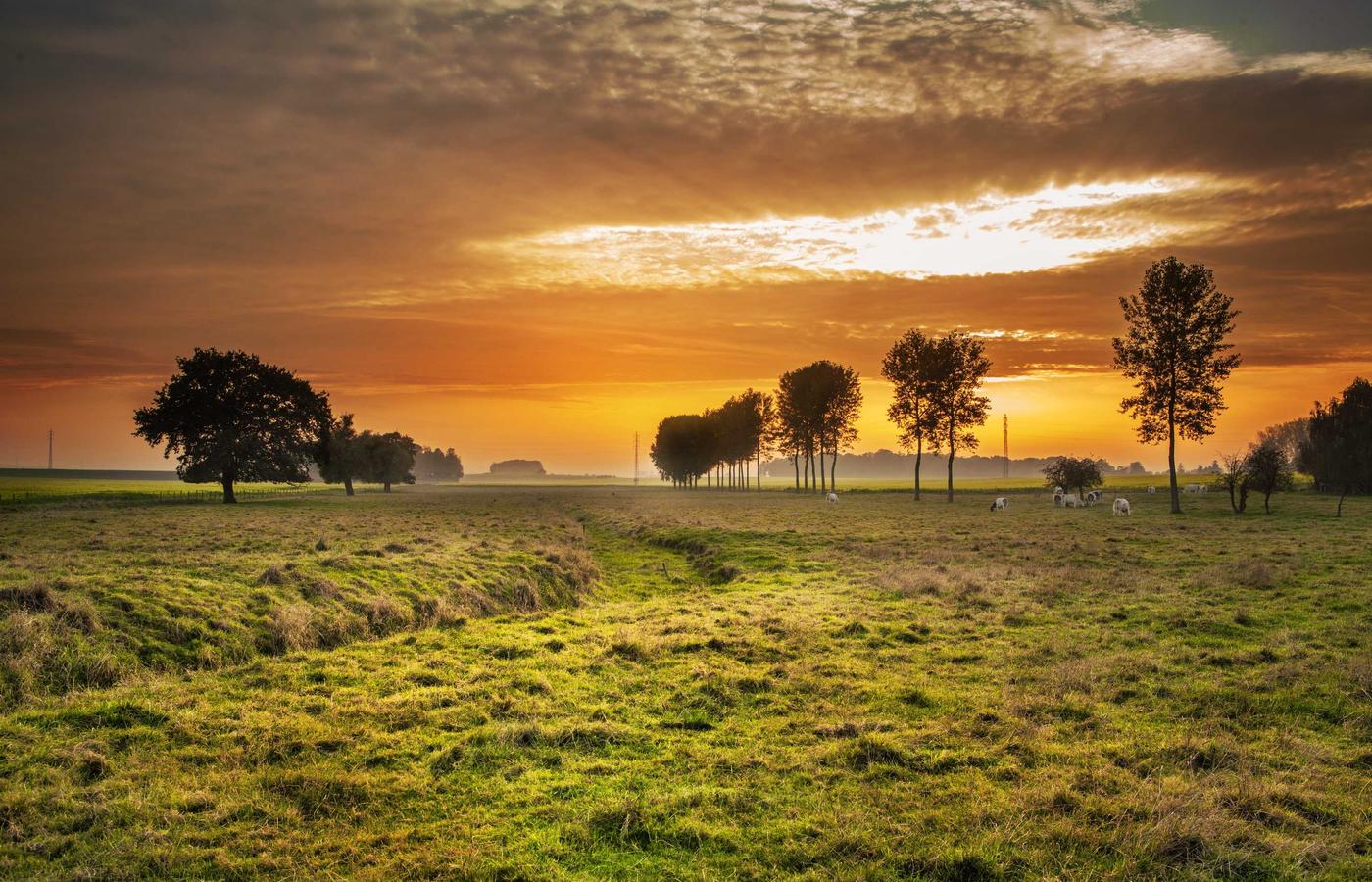 Portrait de Chloé Petit